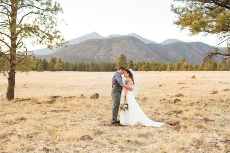 Saaty Photography - Ashley and Tyler - Flagstaff Intimate Backyard Wedding -251