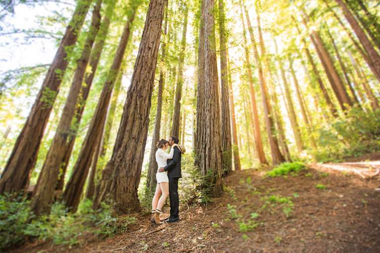California Redwoods Elopement Photographer