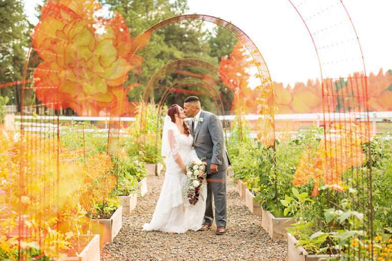 Saaty Photography - Veronica and Jena - -The Gardens at Viola's Wedding Flagstaff Arizona -511(2)SM
