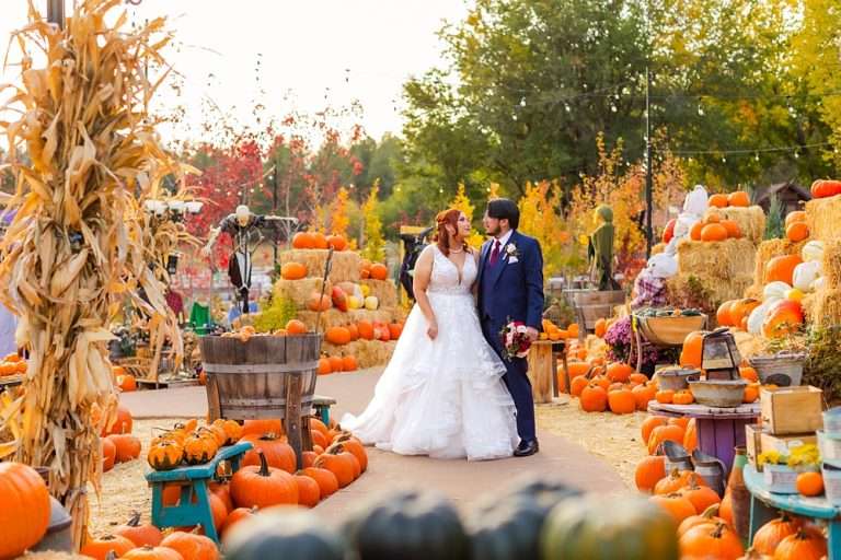Rhiannon and Andrew: Flagstaff Pumpkin Patch Wedding